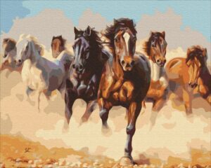 Obraz Malowanie po numerach - Konie w galopie