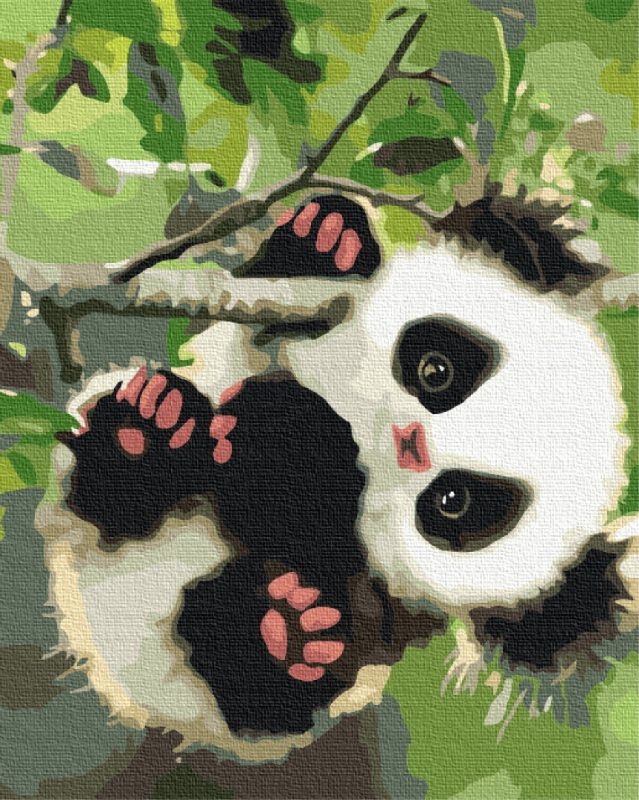 Obraz Paint it! Malowanie po numerach. Słodka panda