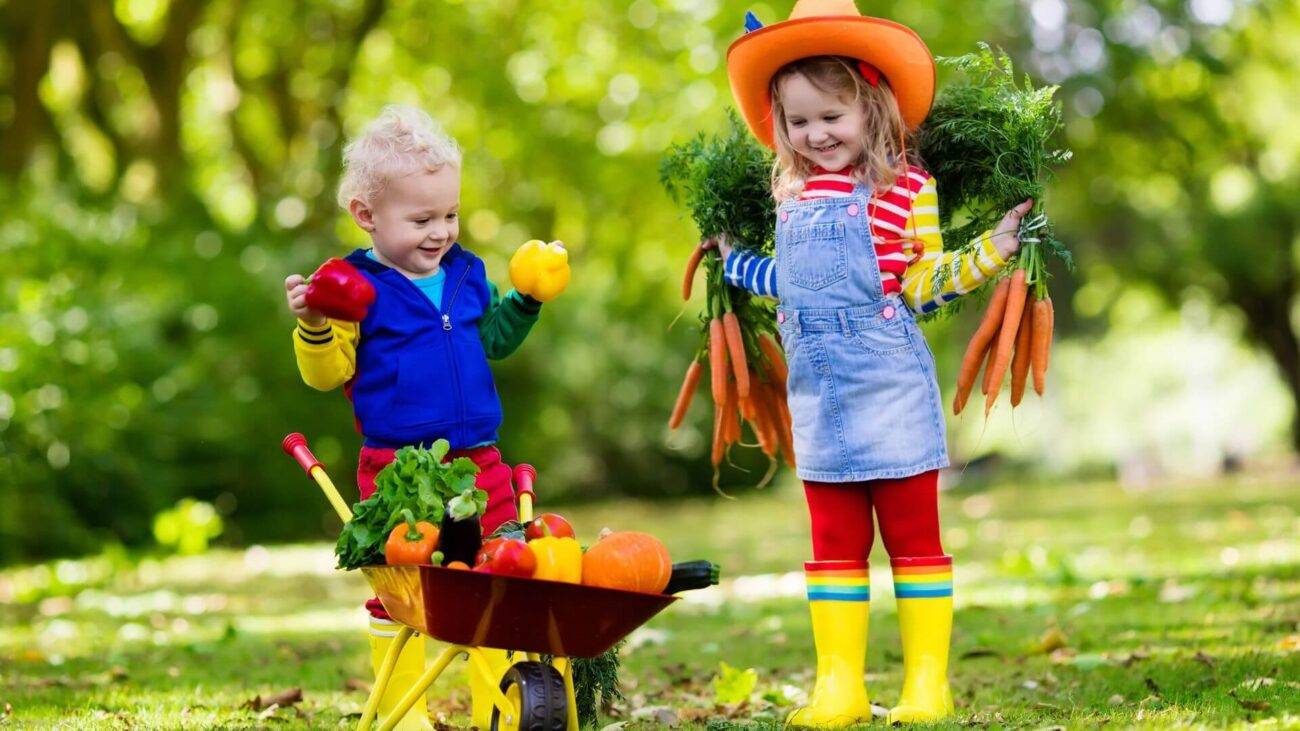 Zabawki-ogrodowe-dla-dzieci-Miejsce-do-zabawy-i-nauki