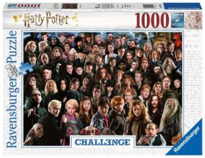 Puzzle 1000 elementów Challange Harry Potter