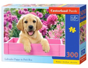 Puzzle 300 elementów Labrador w pudełku